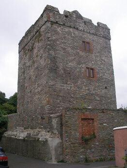The Castle Apartment Strangford Esterno foto