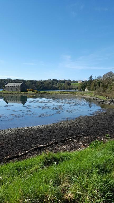 The Castle Apartment Strangford Esterno foto
